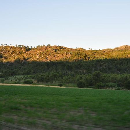 Willa Pinheirinhos - Quinta De Sao Caetano Carapito Zewnętrze zdjęcie