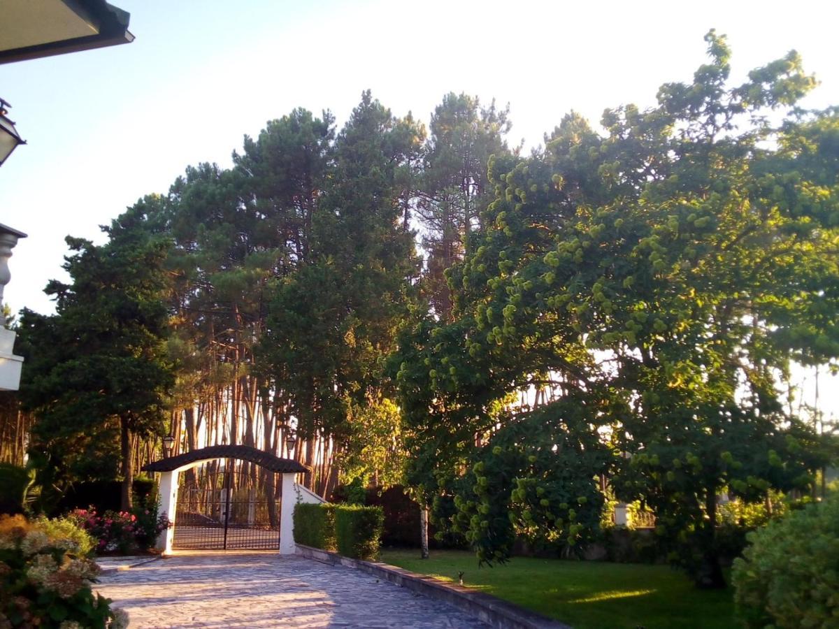 Willa Pinheirinhos - Quinta De Sao Caetano Carapito Zewnętrze zdjęcie