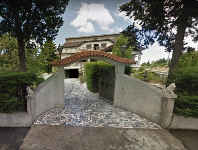 Willa Pinheirinhos - Quinta De Sao Caetano Carapito Zewnętrze zdjęcie