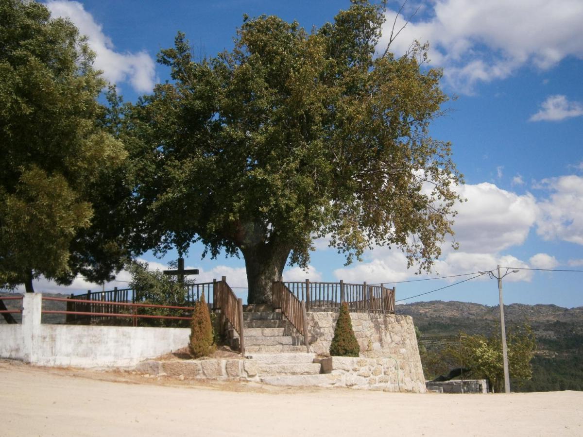 Willa Pinheirinhos - Quinta De Sao Caetano Carapito Zewnętrze zdjęcie