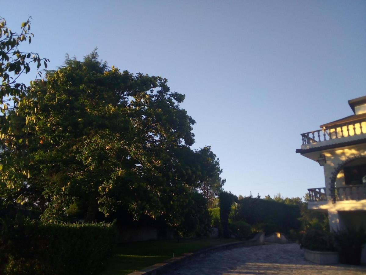 Willa Pinheirinhos - Quinta De Sao Caetano Carapito Zewnętrze zdjęcie